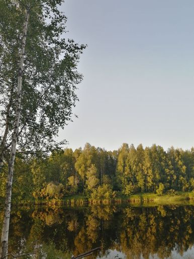 kesäinen maisema