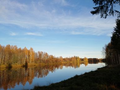 syksyinen maisema